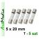 bezpiecznik zwłoczny WTA-T 5x20mm 250V  1,6 A - 5 