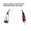 kabel połączeniowy XLR wtyk - wtyk RCA chinch  2,4