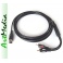 kabel AUDIO 2 RCA chinch - DIN 5 WM545 IN , HQ a  2,5 m